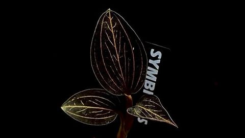 LINE_ALBUM_20251228_251228_60