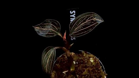 LINE_ALBUM_20251228_251228_58