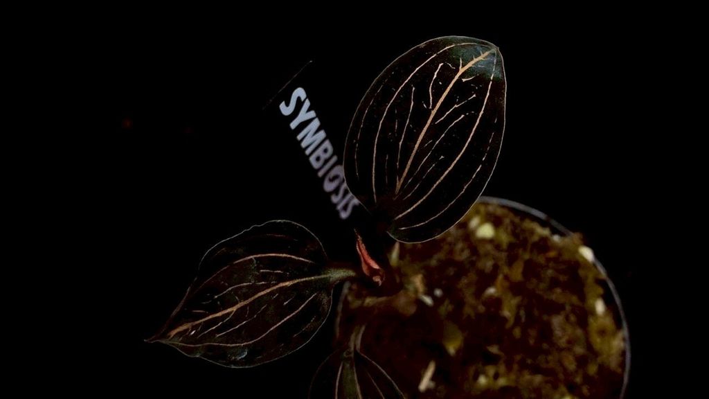 LINE_ALBUM_20251228_251228_57