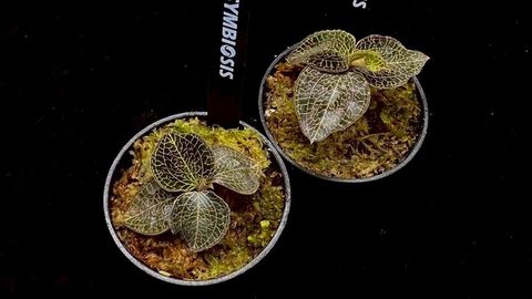 LINE_ALBUM_20251228_251228_62