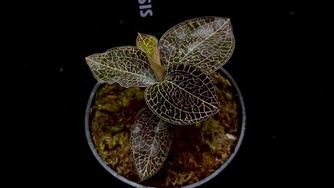 LINE_ALBUM_20251228_251228_63