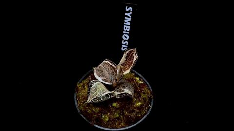 LINE_ALBUM_20251228_251228_68