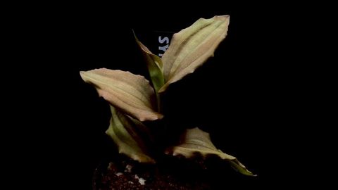 LINE_ALBUM_20251228_251228_73