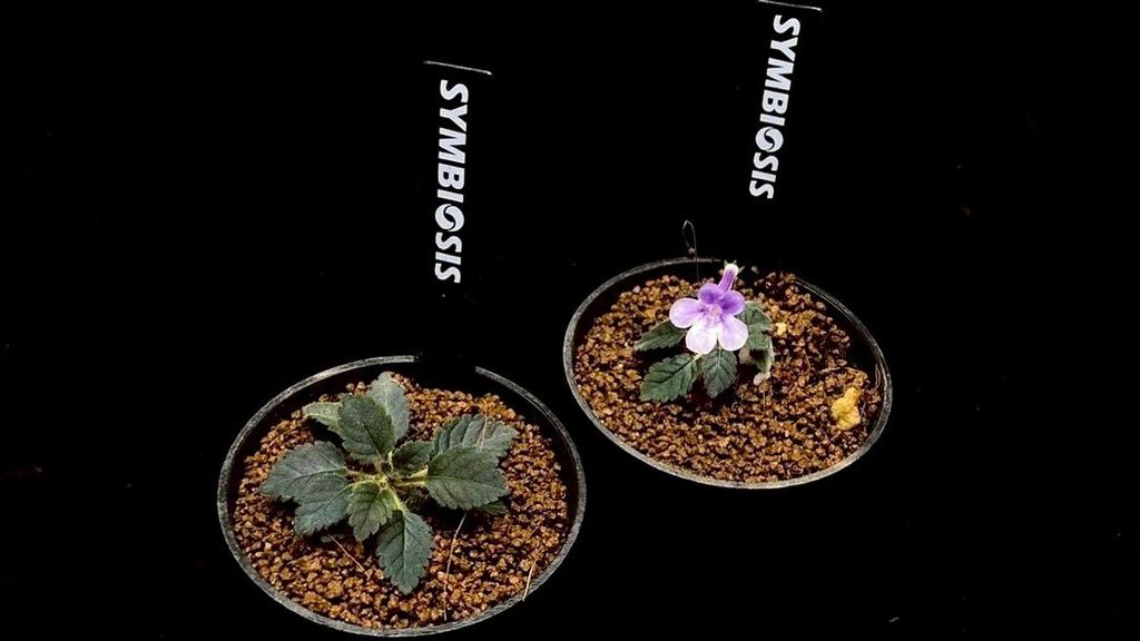 LINE_ALBUM_20251228_251228_75