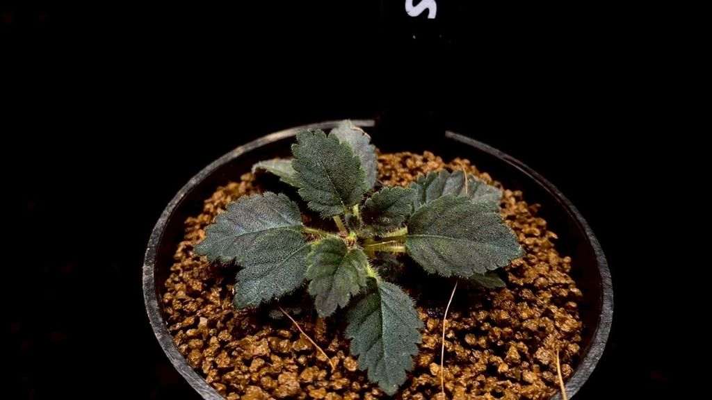 LINE_ALBUM_20251228_251228_76