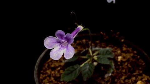 LINE_ALBUM_20251228_251228_77