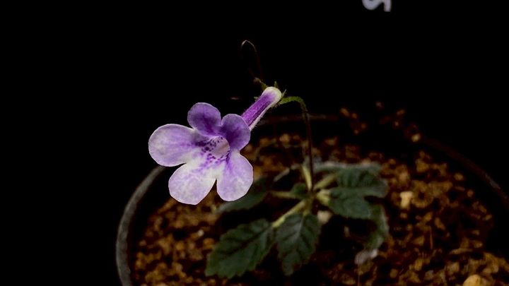 LINE_ALBUM_20251228_251228_77