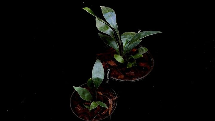LINE_ALBUM_20251228_251228_78