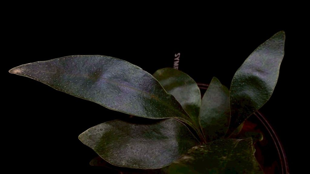 LINE_ALBUM_20251228_251228_79