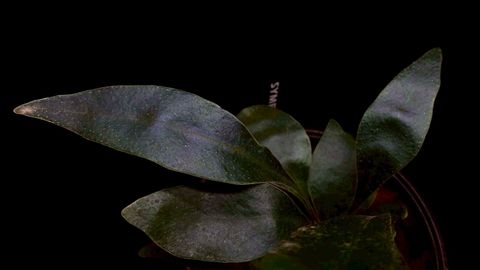 LINE_ALBUM_20251228_251228_79