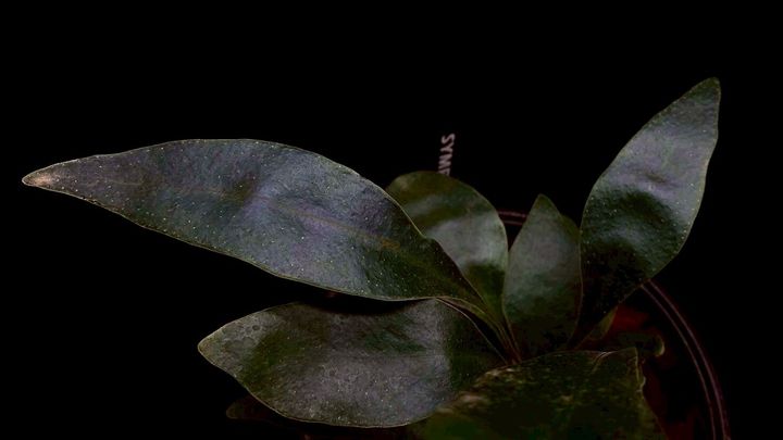 LINE_ALBUM_20251228_251228_79