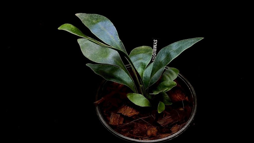 LINE_ALBUM_20251228_251228_80