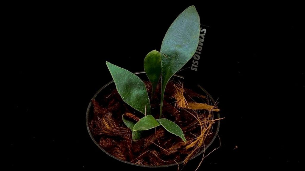 LINE_ALBUM_20251228_251228_83