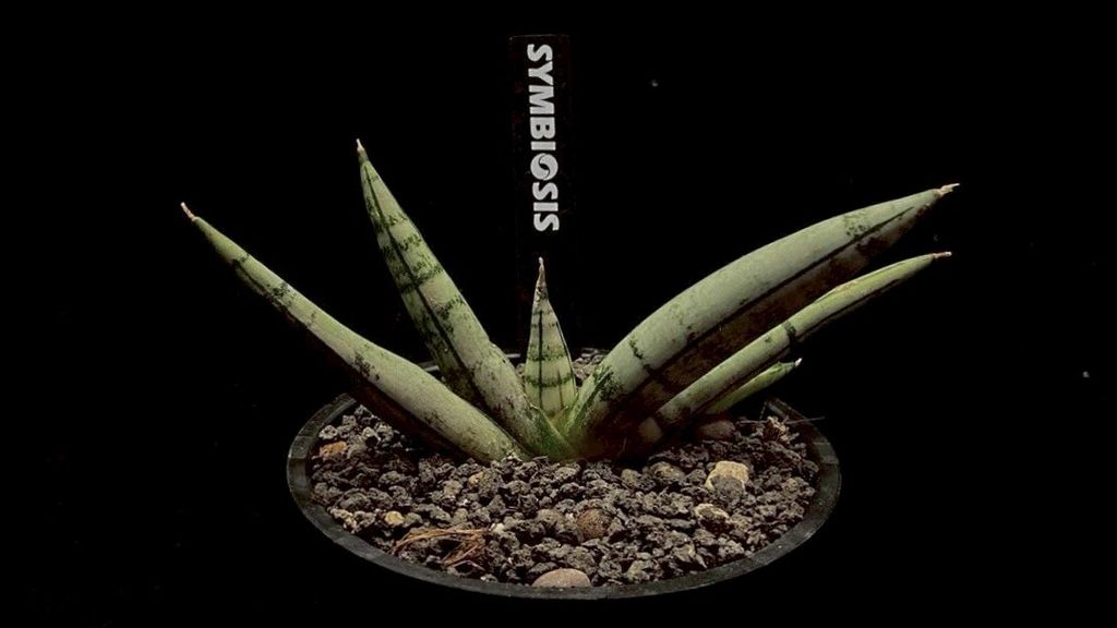 LINE_ALBUM_20251122_251122_69