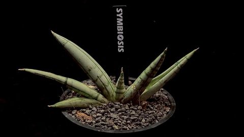 LINE_ALBUM_20251122_251122_70