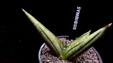 LINE_ALBUM_20251122_251122_83