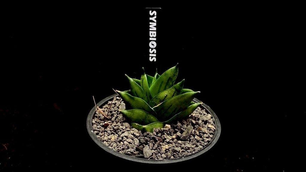 LINE_ALBUM_20251122_251122_85