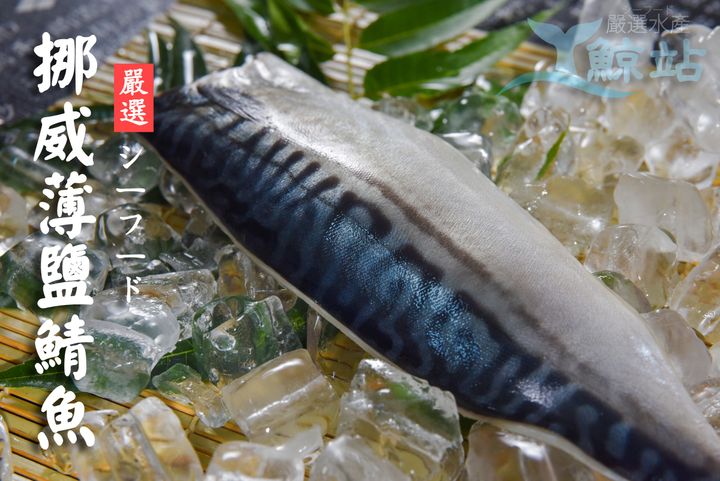 鯖魚
