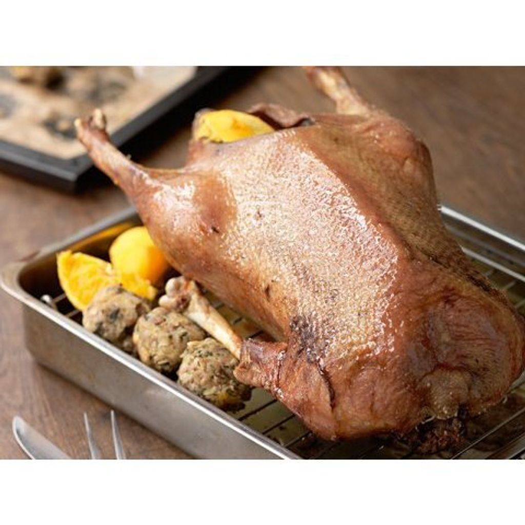 tw-11134207-81ztg-miqyn10q169yf6