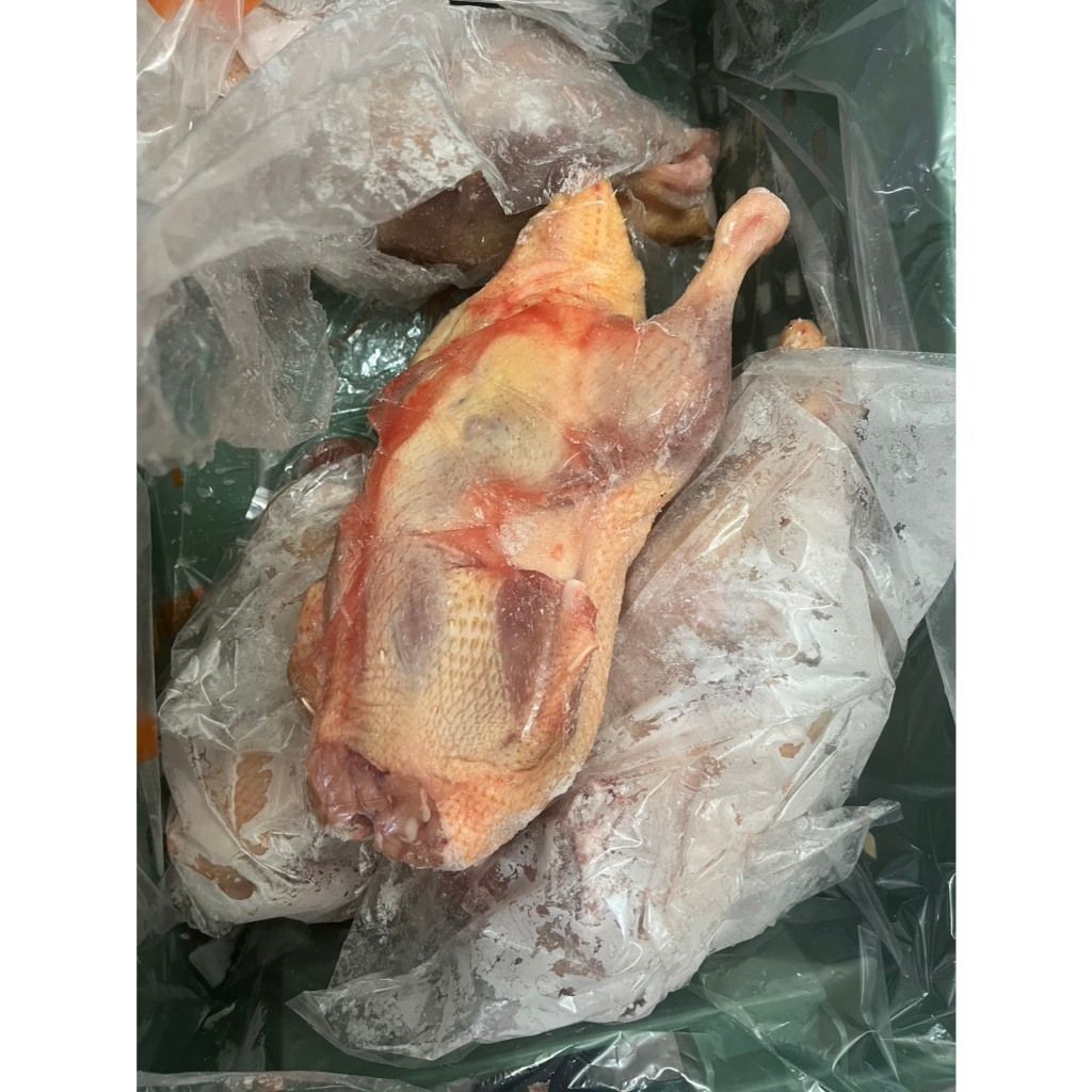 tw-11134207-81ztn-mg9216xi5hxr41