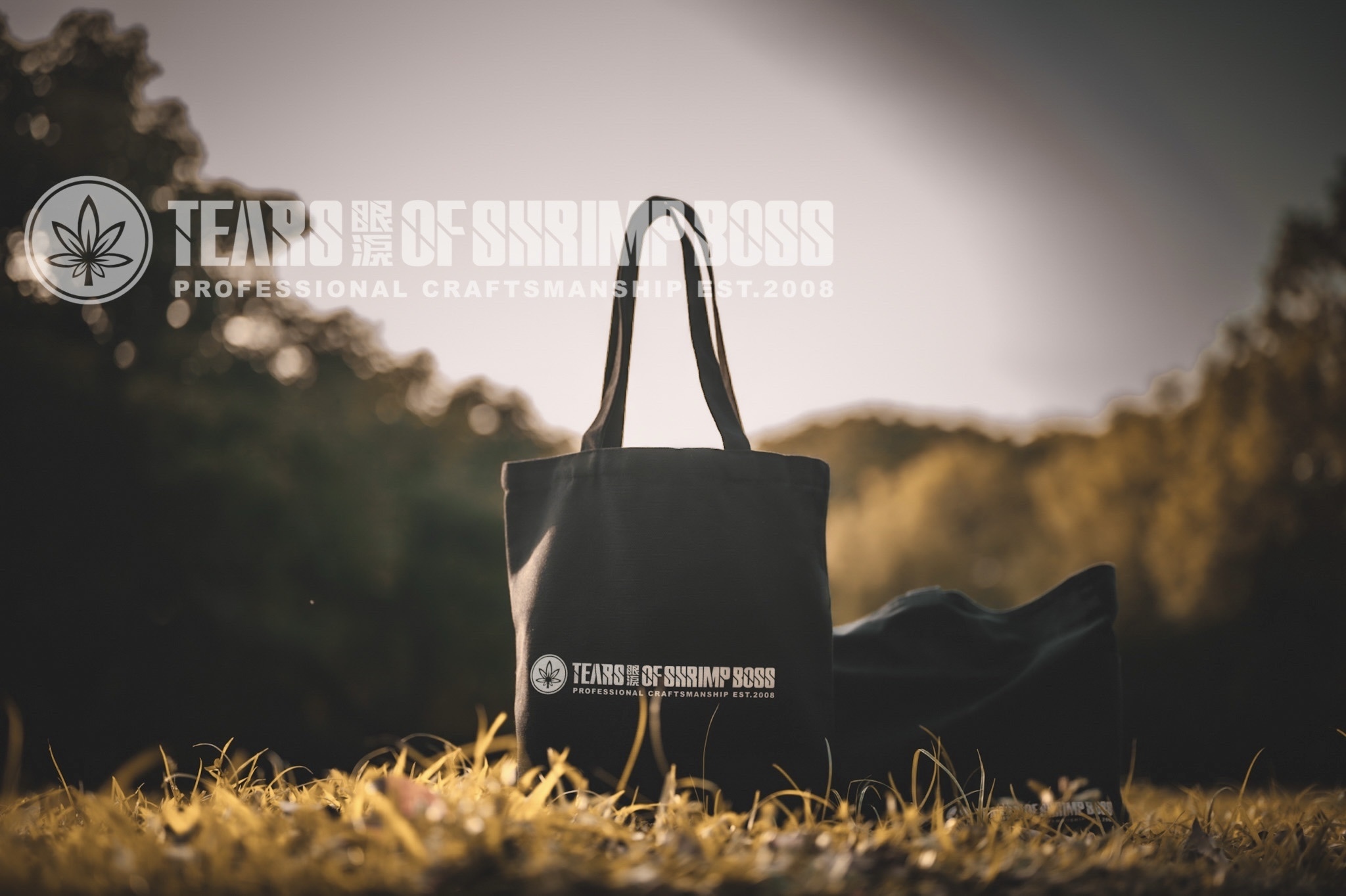 29B35AB7-9ECC-4345-91D6-933C23832FC7