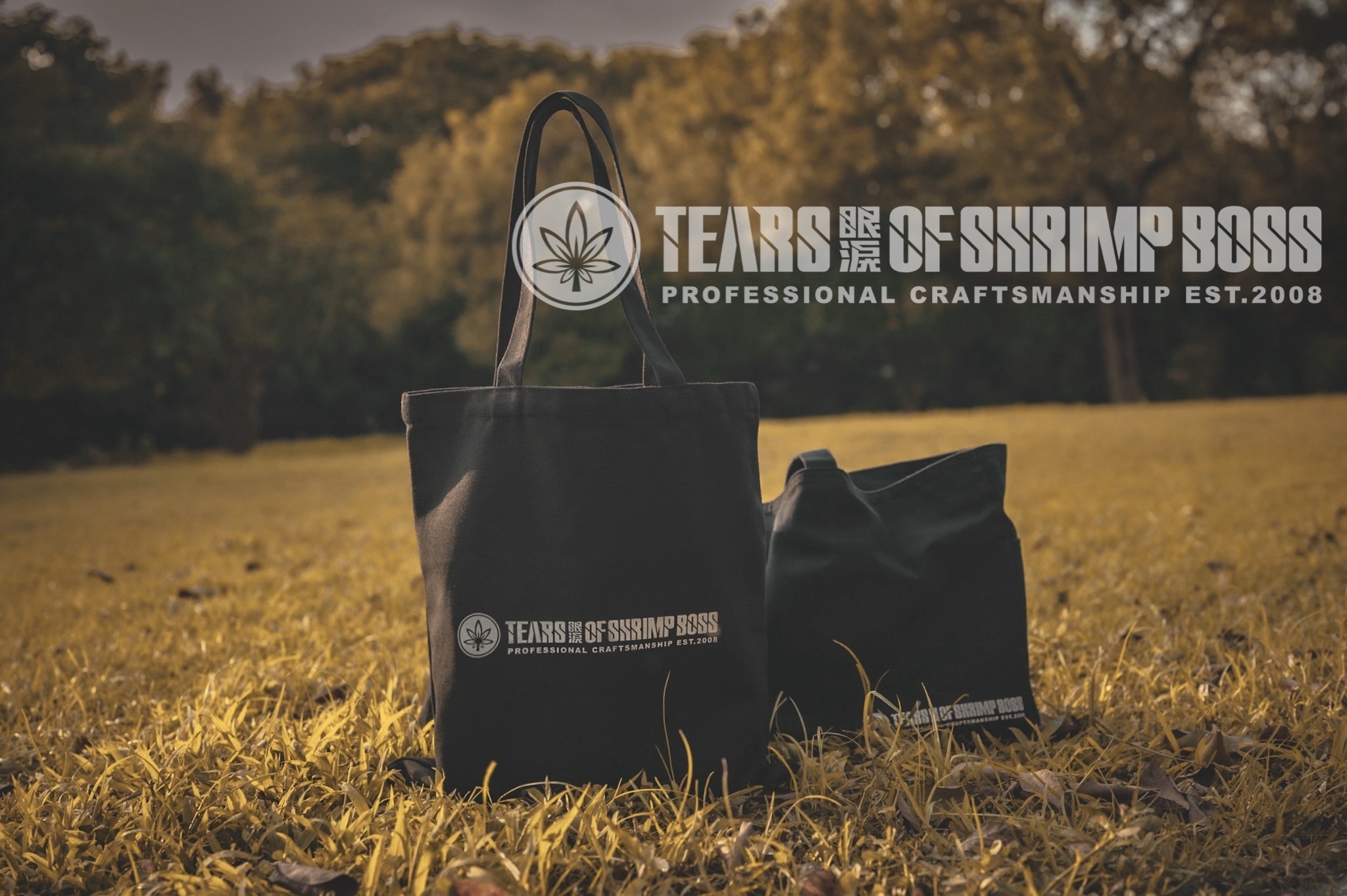 963C49E6-6D7E-4C40-813B-B925E4994F37