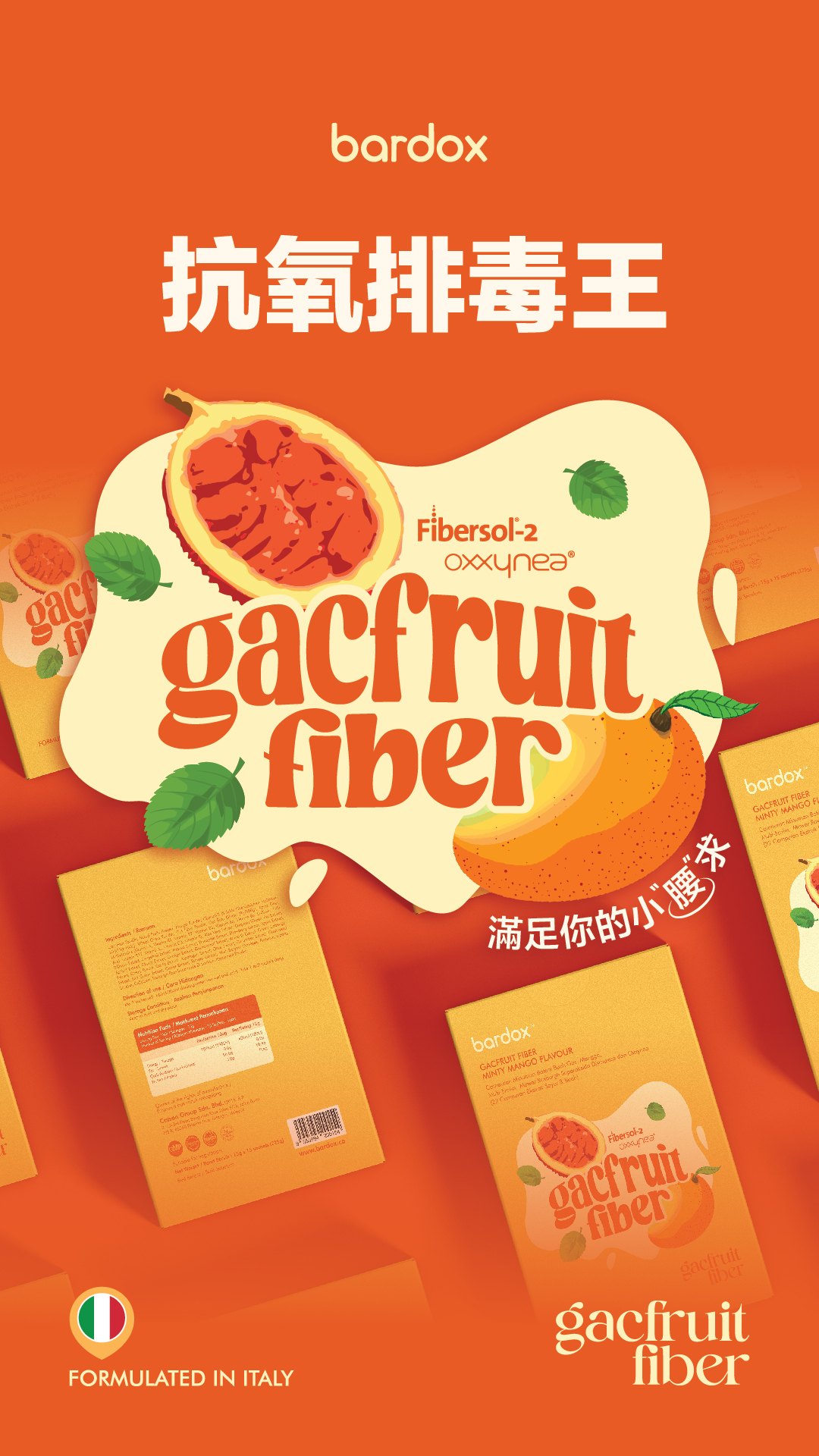 GFF2024_Description(CN)-01