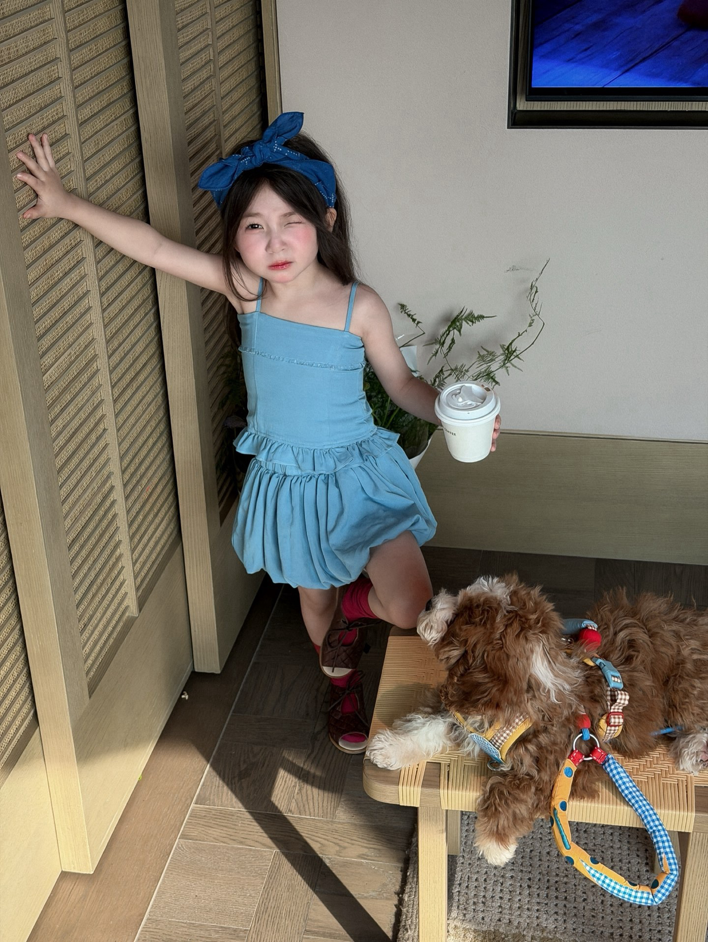 image_8830E01C-DC8E-4857-B5BE-FD23E0F37A4C_1779081485