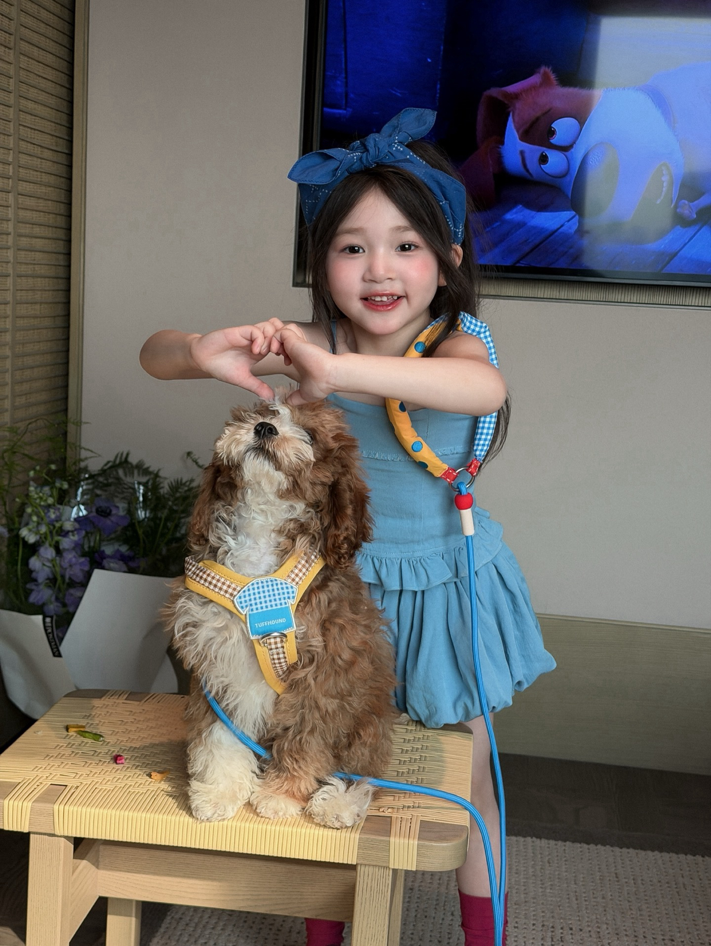 image_413FB4A3-C02C-4322-BD30-7D892578D712_1779081485