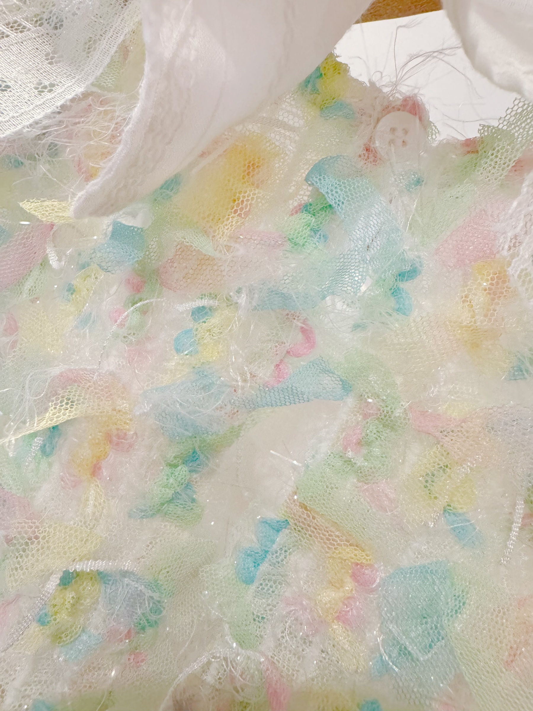 image_E5456424-AA66-41F3-B786-1F93A89199A4_1757391819