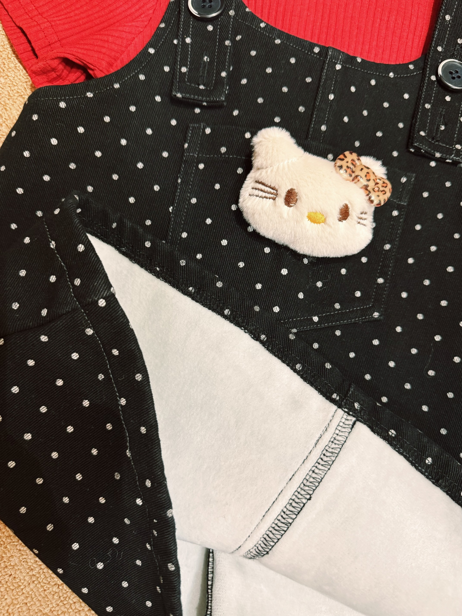 image_5DDC687A-D53D-4B8F-B358-ED8B9F5AF279_1764505948