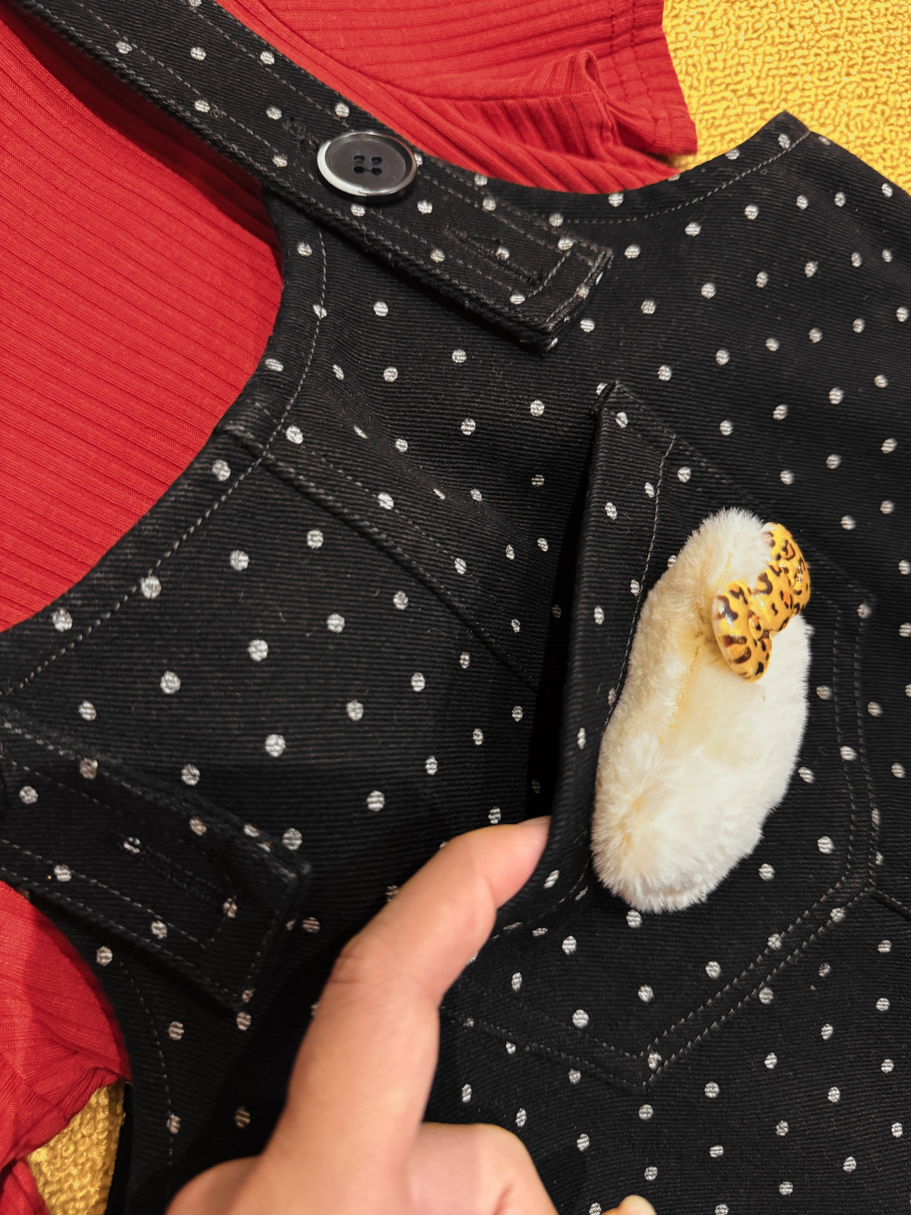 image_844E427B-D91F-4FC1-95F5-5B59B5682695_1764505948