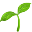 🌱