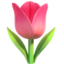 🌷