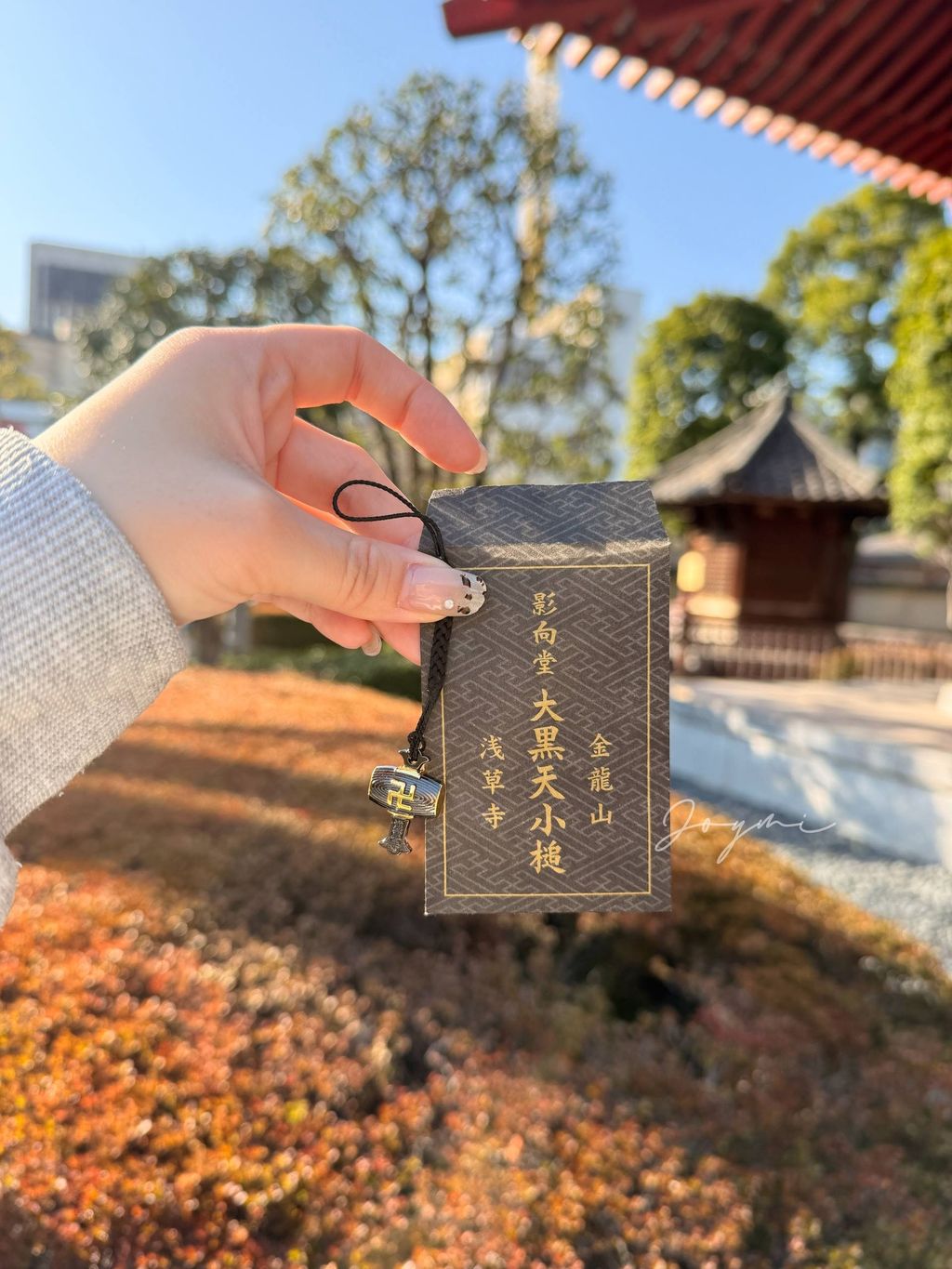 image_DD35575E-0CF6-4D86-BB13-1B8C819EE0E3_1772883802