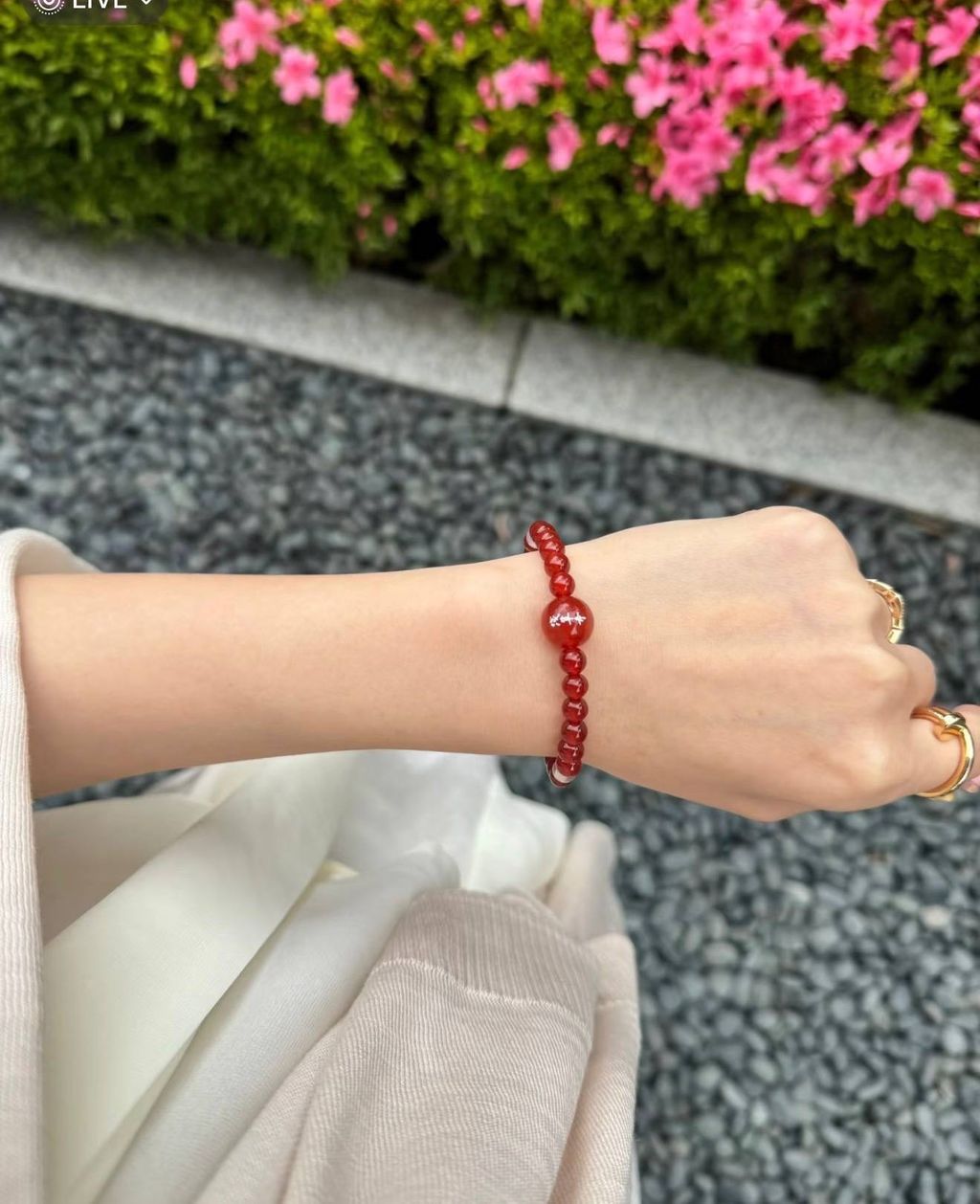 image_394684BE-7948-43FC-8C62-7B8136638C74_1772884628