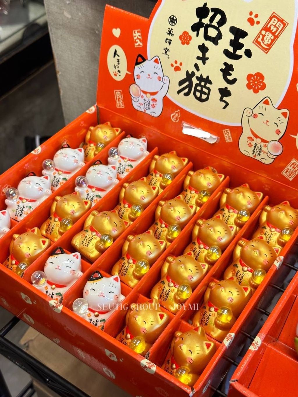 image_94BAA9A4-613F-446B-A391-1D71466DA3C7_1772885010