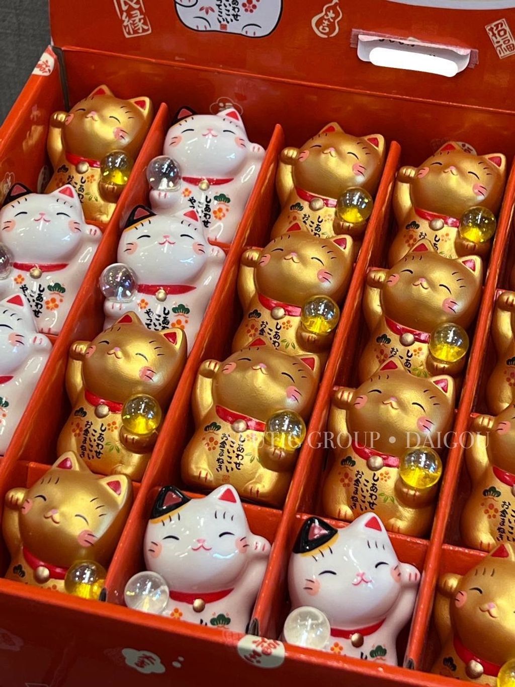 image_730C9DCD-C58C-4CBC-82AA-7F9B5EB5B58C_1772885010