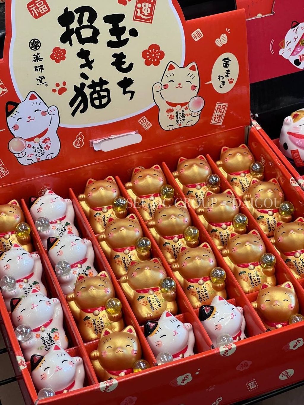 image_DCA23D03-E7FF-4B0A-844B-34A5361468DF_1772885010