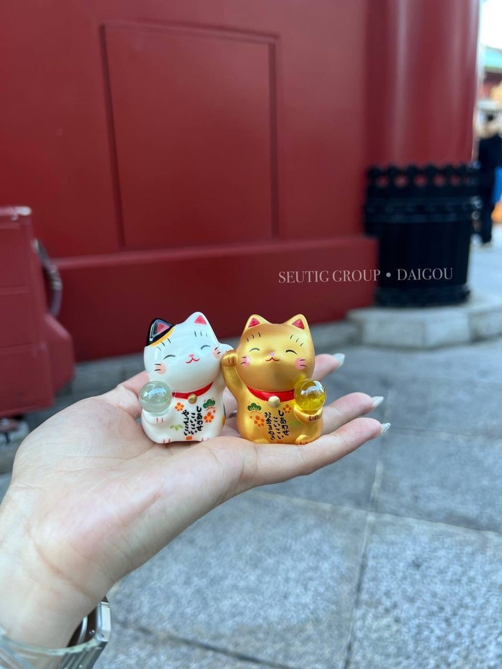 image_1BC098CD-1A82-4B67-913E-EC0765DF3CF6_1772885010