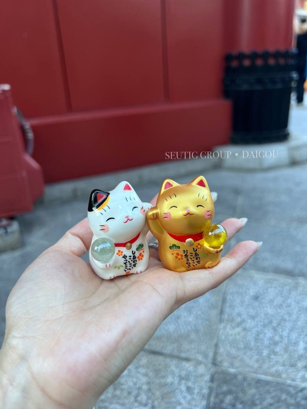 image_06765059-6FBC-4B4F-BD9C-342BD24B0A62_1772885010