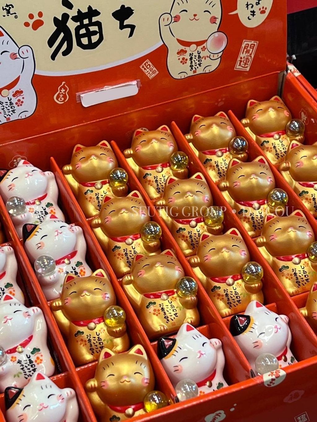 image_2E95962C-2B93-4746-9F3F-8948543C25BF_1772885010