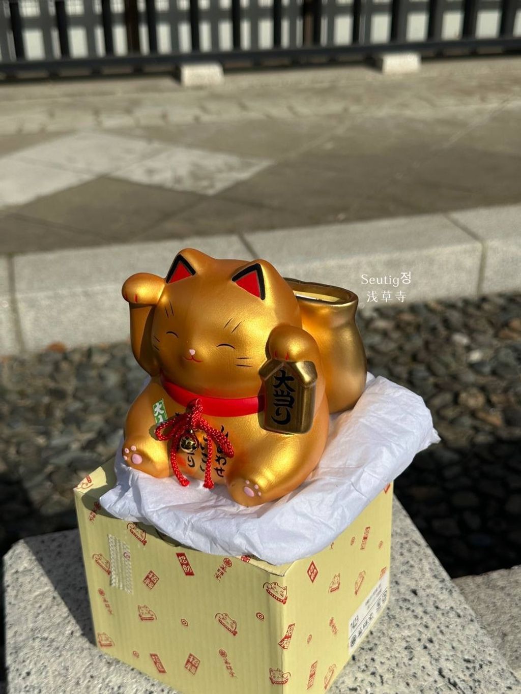 image_59AA14A8-0F1E-4756-AEDA-82529459E2B0_1772885202