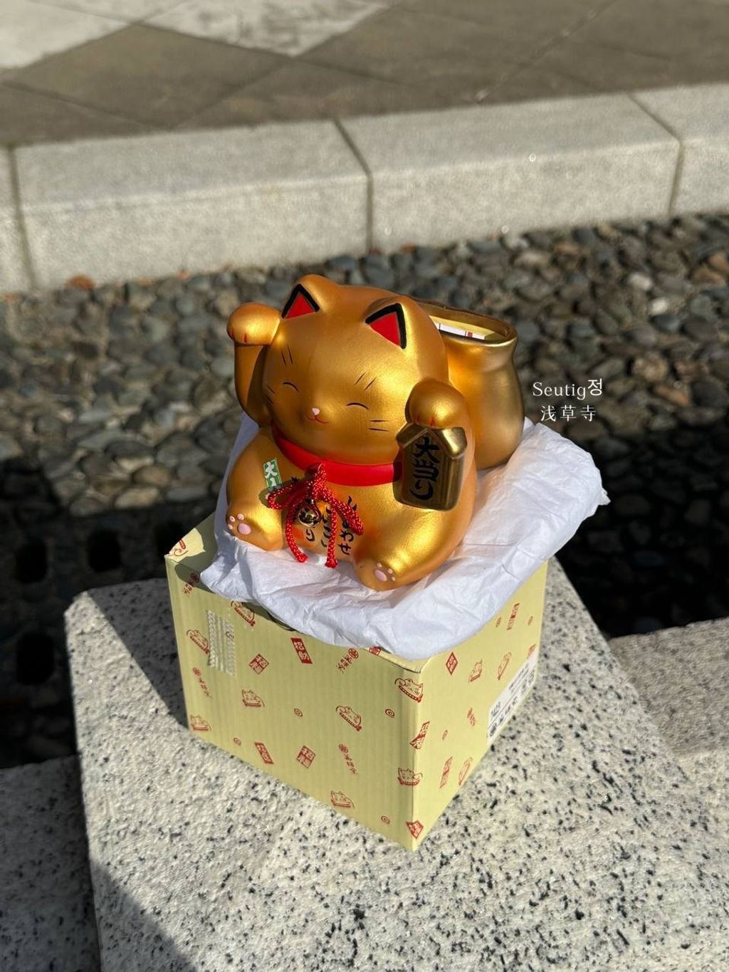 image_EB1CA2FC-5194-42D3-B9AE-6817ECDC8BF8_1772885202