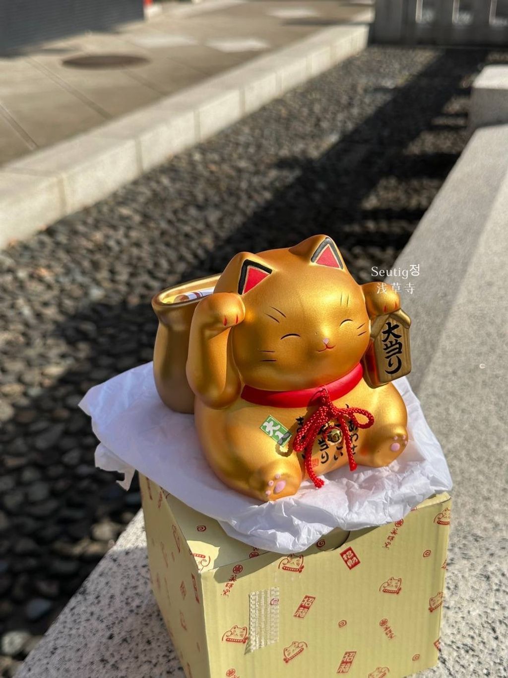 image_E77A954D-D55A-425D-A549-8B91D7F7686A_1772885202