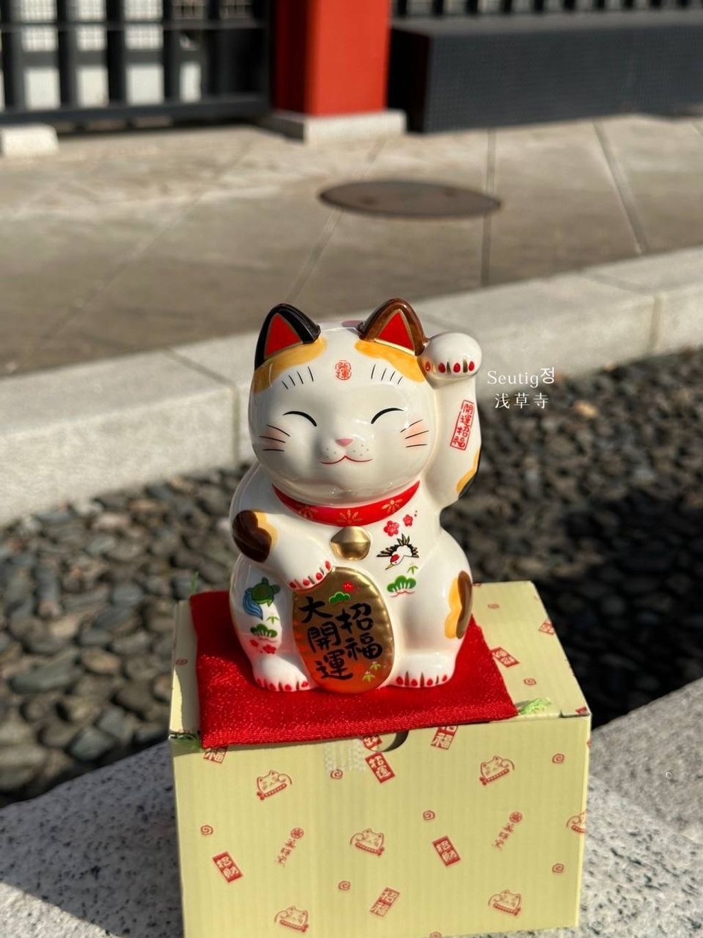 image_A237258A-ED20-4B1A-B31B-E94B0373B320_1772885370