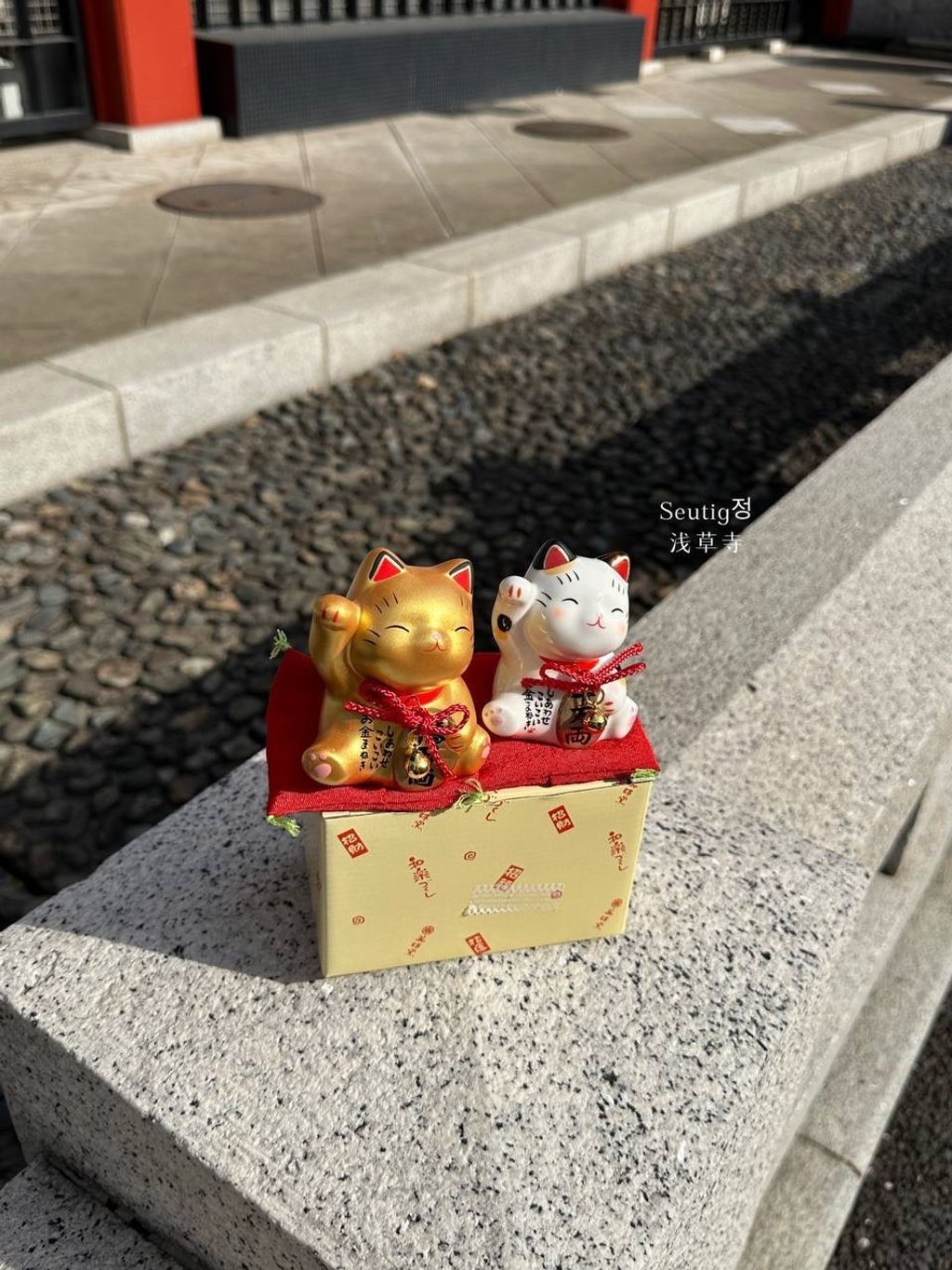 image_63E80E5D-2EAD-453B-8727-7B63EA94586C_1772885429