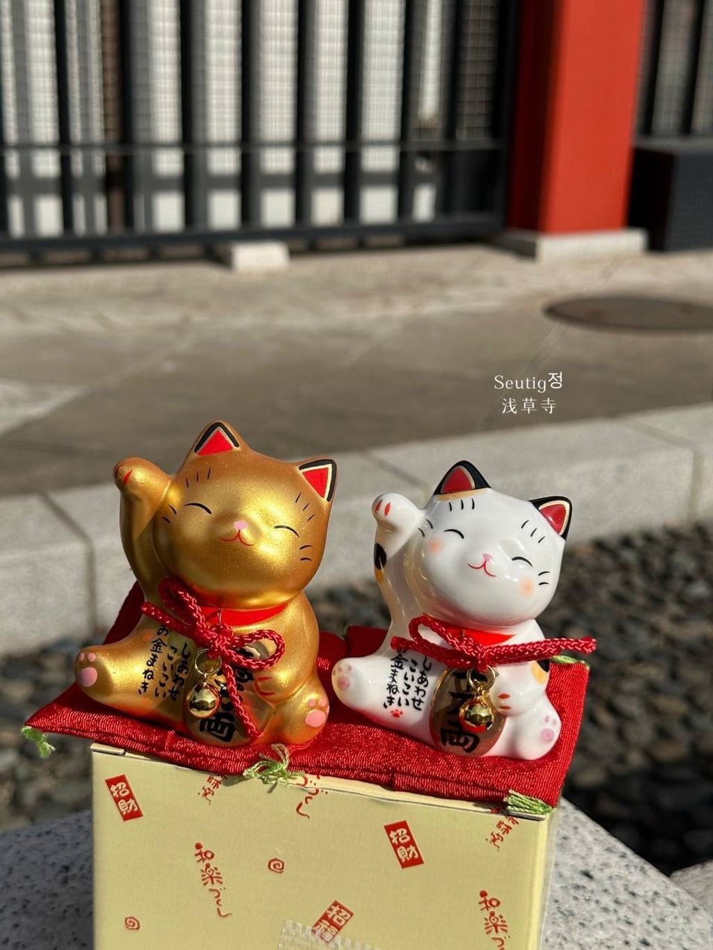 image_E0923ADD-D4F3-44FA-8628-BDFA7766CD7A_1772885429