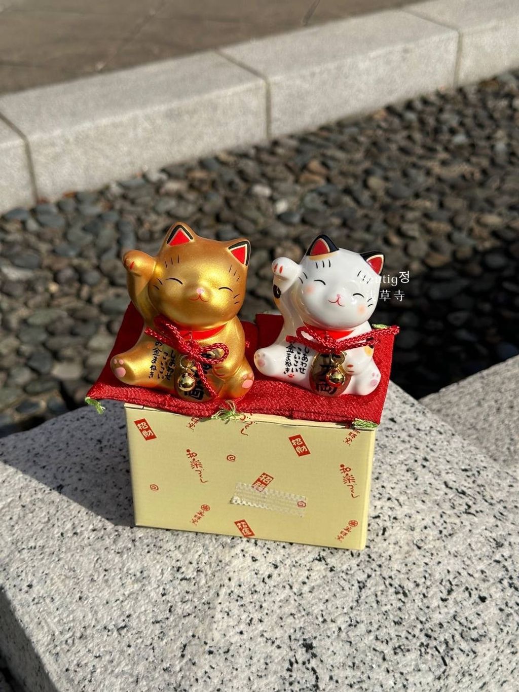 image_9BA63DFC-50AE-4F50-A016-C626F323E19D_1772885429