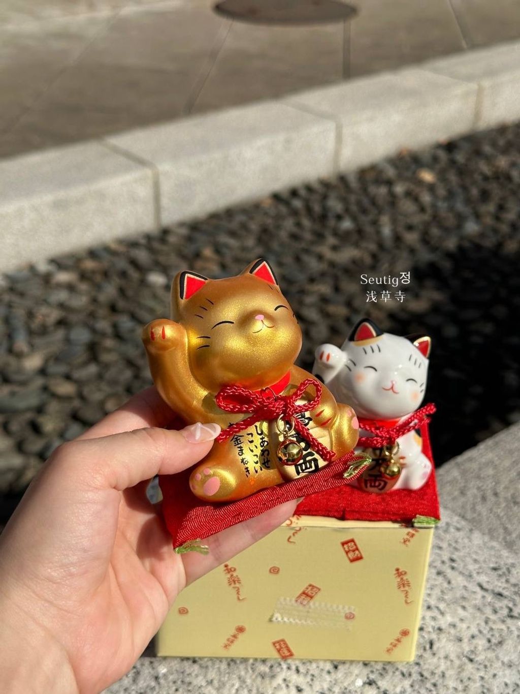 image_AC8ABC7D-23CF-453A-98D2-774E5DEB2547_1772885429